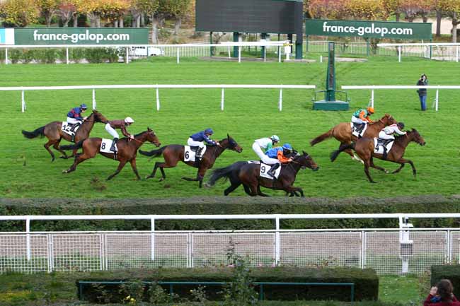 Photo d'arrivée de la course pmu PRIX DE L'ELEVAGE à SAINT-CLOUD le Mardi 17 novembre 2020