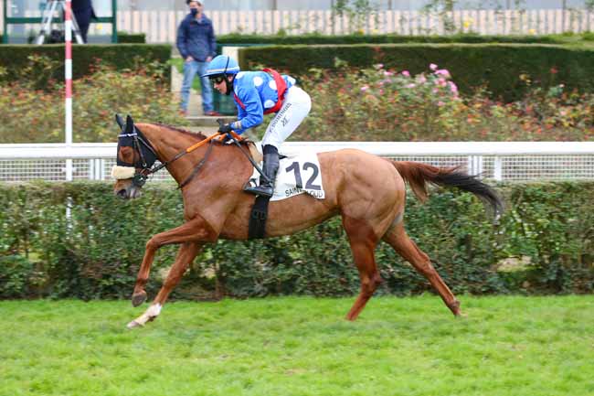Photo d'arrivée de la course pmu PRIX DES HARAS à SAINT-CLOUD le Mardi 17 novembre 2020