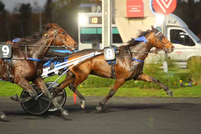 Photo d'arrivée de la course pmu PRIX WERINGIA à PARIS-VINCENNES le Mardi 17 novembre 2020