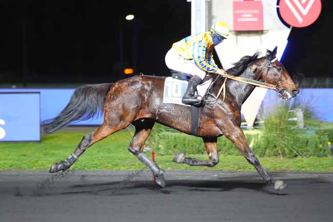 Photo d'arrivée de la course pmu PRIX PHILAGORIA à PARIS-VINCENNES le Mardi 17 novembre 2020