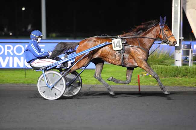 Photo d'arrivée de la course pmu PRIX OSTARA à PARIS-VINCENNES le Mardi 17 novembre 2020