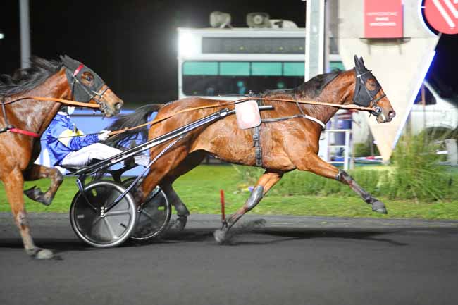 Photo d'arrivée de la course pmu PRIX TERCIDINA à PARIS-VINCENNES le Mardi 17 novembre 2020