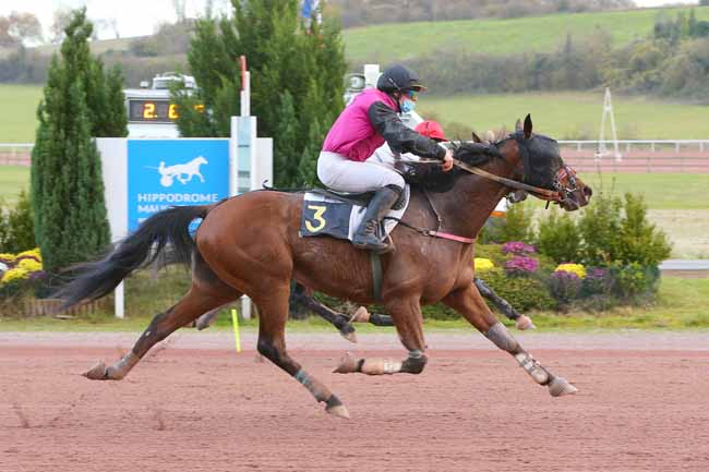 Photo d'arrivée de la course pmu PRIX JAGUAR à MAUQUENCHY le Mercredi 18 novembre 2020