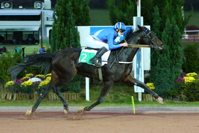 Photo d'arrivée de la course pmu PRIX DU CONSEIL DEPARTEMENTAL DE SEINE-MARITIME à MAUQUENCHY le Mercredi 18 novembre 2020