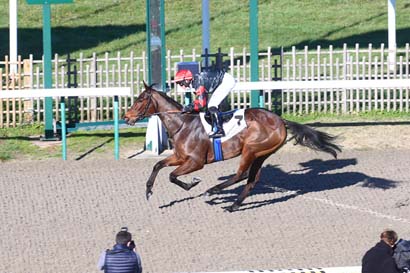 Photo d'arrivée de la course pmu PRIX DU VALOIS MULTIER à CHANTILLY le Mercredi 18 novembre 2020