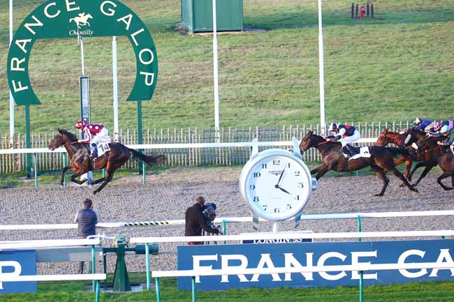 Photo d'arrivée de la course pmu PRIX DU MANEGE à CHANTILLY le Mercredi 18 novembre 2020