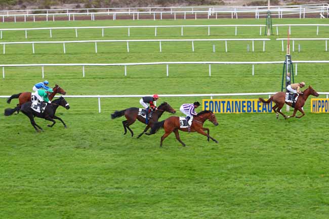 Photo d'arrivée de la course pmu PRIX DES CHEVREUILS à FONTAINEBLEAU le Jeudi 19 novembre 2020