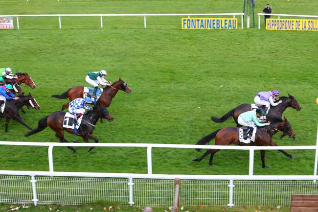 Photo d'arrivée de la course pmu PRIX DE LA FAISANDERIE à FONTAINEBLEAU le Jeudi 19 novembre 2020