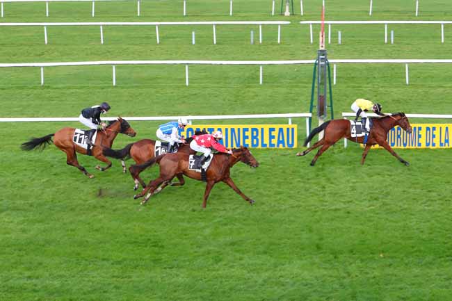 Photo d'arrivée de la course pmu PRIX CERES à FONTAINEBLEAU le Jeudi 19 novembre 2020