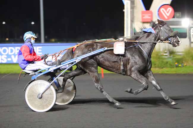 Photo d'arrivée de la course pmu PRIX EURYNOME à PARIS-VINCENNES le Vendredi 20 novembre 2020