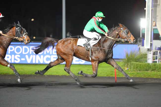 Photo d'arrivée de la course pmu PRIX AGATHE à PARIS-VINCENNES le Vendredi 20 novembre 2020