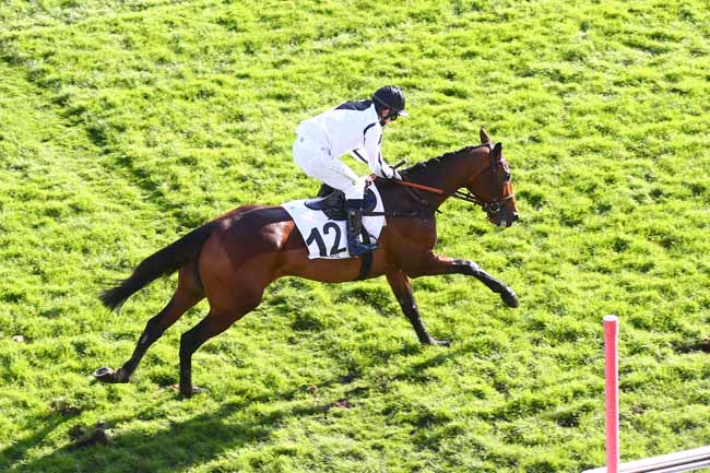 Photo d'arrivée de la course pmu PRIX DE BEAUGENCY (PELOTON A) à AUTEUIL le Samedi 21 novembre 2020