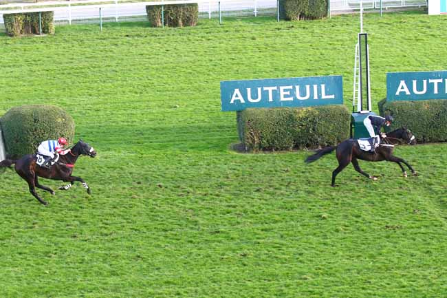 Photo d'arrivée de la course pmu PRIX METATERO à AUTEUIL le Samedi 21 novembre 2020