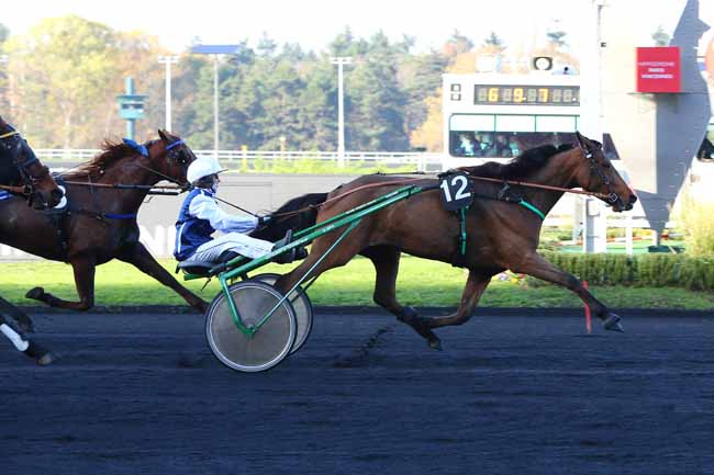 Photo d'arrivée de la course pmu COUPE DES AMATEURS (GR B) à PARIS-VINCENNES le Dimanche 22 novembre 2020