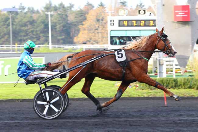 Photo d'arrivée de la course pmu PRIX AGRIFOURNITURES.FR (J. M. BETEAU) à PARIS-VINCENNES le Dimanche 22 novembre 2020