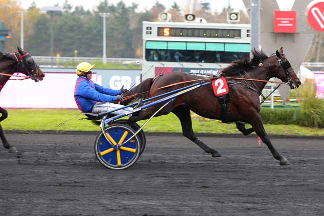 Photo d'arrivée de la course pmu PRIX DE BOISSY-SAINT-LEGER - PRIX GRAS SAVOYE WILLIS TOWERS WATSON à PARIS-VINCENNES le Dimanche 22 novembre 2020