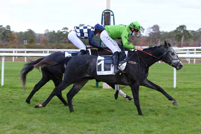Photo d'arrivée de la course pmu PRIX TREMAILLE à FONTAINEBLEAU le Lundi 23 novembre 2020