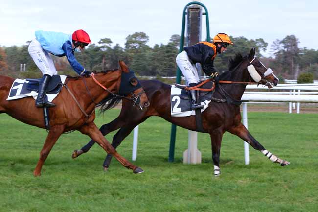 Photo d'arrivée de la course pmu PRIX DE MACHERIN à FONTAINEBLEAU le Lundi 23 novembre 2020