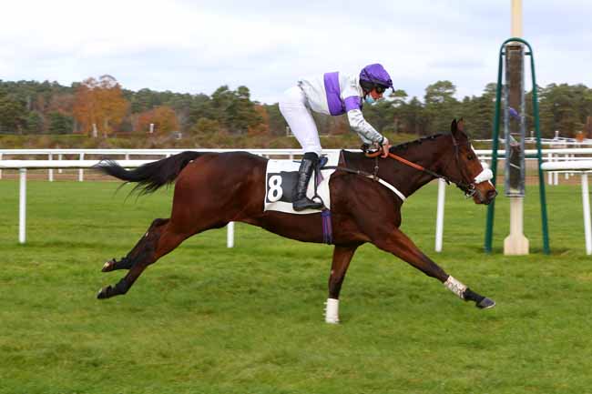 Photo d'arrivée de la course pmu PRIX HENRY MAZE-SENCIER à FONTAINEBLEAU le Lundi 23 novembre 2020
