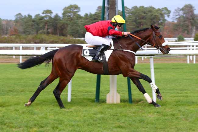 Photo d'arrivée de la course pmu PRIX DE LA GROTTE DES ERMITES à FONTAINEBLEAU le Lundi 23 novembre 2020
