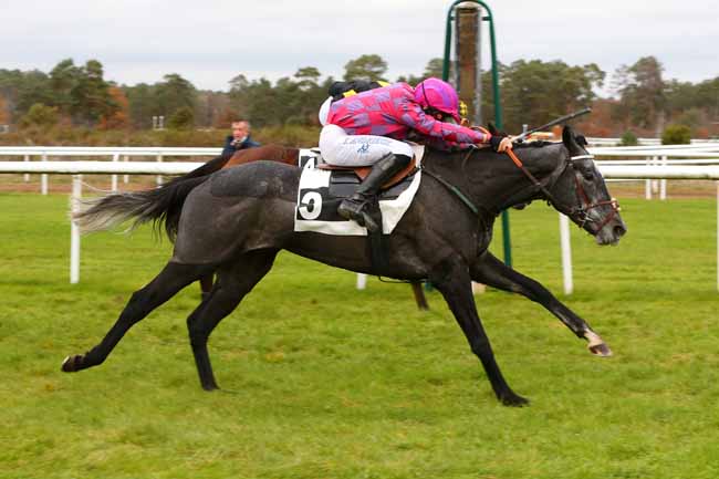 Photo d'arrivée de la course pmu PRIX DE LA FONTAINE AUX BICHES à FONTAINEBLEAU le Lundi 23 novembre 2020