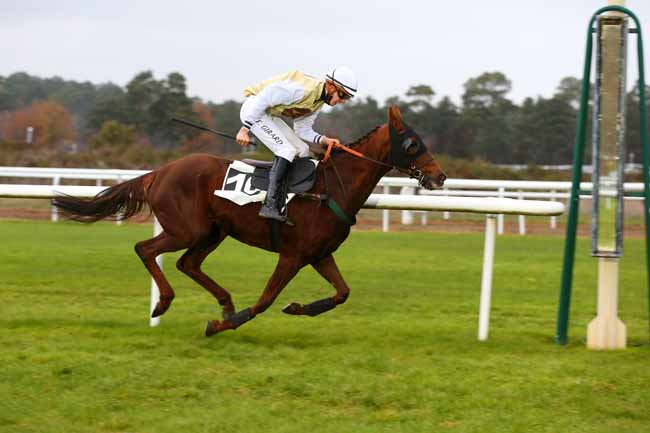 Photo d'arrivée de la course pmu PRIX GERARD DE MARISY à FONTAINEBLEAU le Lundi 23 novembre 2020