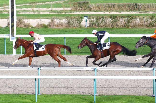 Photo d'arrivée de la course pmu PRIX DE LA POMMERAIE à DEAUVILLE le Mardi 24 novembre 2020