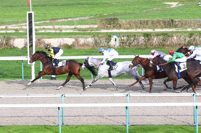 Photo d'arrivée de la course pmu PRIX DES PECHERS à DEAUVILLE le Mardi 24 novembre 2020
