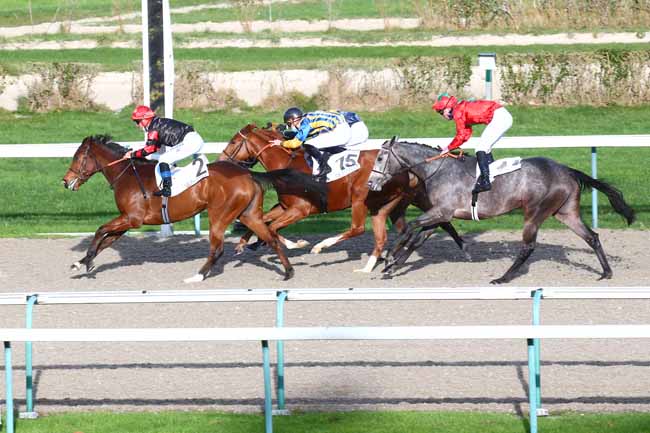 Photo d'arrivée de la course pmu PRIX DE LA CERISAIE à DEAUVILLE le Mardi 24 novembre 2020