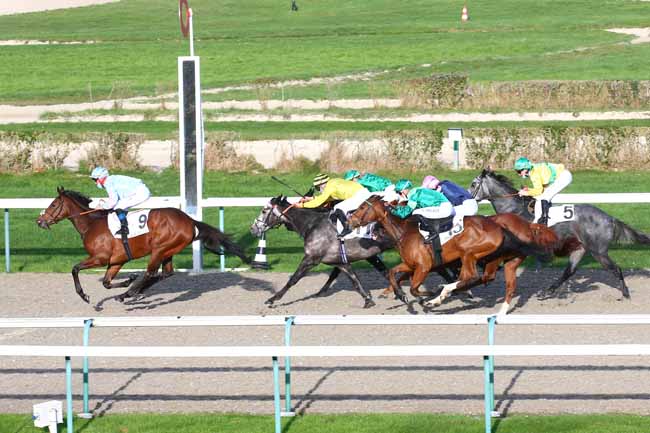 Photo d'arrivée de la course pmu PRIX PETITE ETOILE - FONDS EUROPEEN DE L'ELEVAGE à DEAUVILLE le Mardi 24 novembre 2020