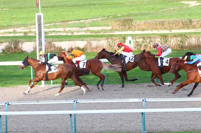Photo d'arrivée de la course pmu PRIX DE LIANGER à DEAUVILLE le Mardi 24 novembre 2020
