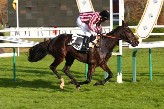 Photo d'arrivée de la course pmu PRIX ROGER DE MINVIELLE à COMPIEGNE le Mardi 24 novembre 2020