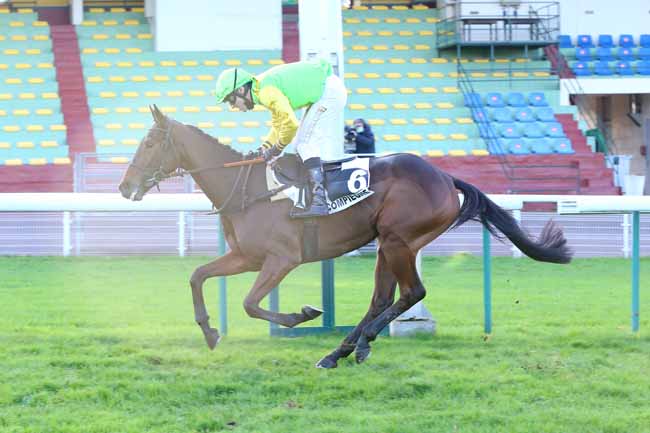 Photo d'arrivée de la course pmu PRIX LEOPOLD D'ORSETTI - GRANDE COURSE DE HAIES DE COMPIEGNE à COMPIEGNE le Mardi 24 novembre 2020