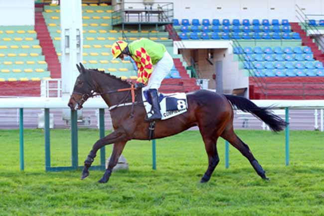 Photo d'arrivée de la course pmu PRIX DES COUDRAIES à COMPIEGNE le Mardi 24 novembre 2020