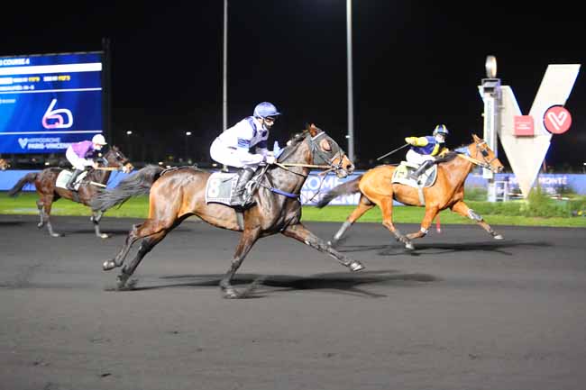 Photo d'arrivée de la course pmu PRIX VIBILIA à PARIS-VINCENNES le Mardi 24 novembre 2020