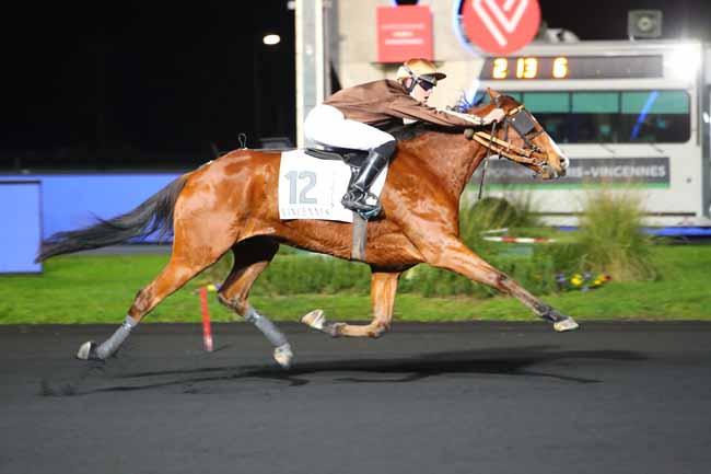 Photo d'arrivée de la course pmu PRIX ALBERT LIBEER à PARIS-VINCENNES le Mardi 24 novembre 2020