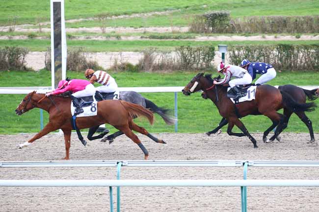 Photo d'arrivée de la course pmu PRIX DU VEXIN BOSSU à DEAUVILLE le Mercredi 25 novembre 2020