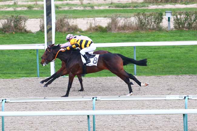 Photo d'arrivée de la course pmu PRIX DE LA ROQUE à DEAUVILLE le Mercredi 25 novembre 2020