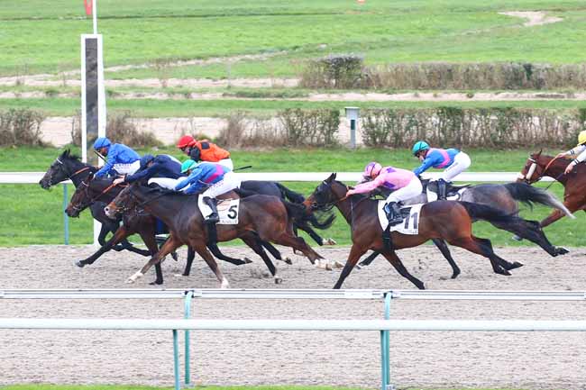 Photo d'arrivée de la course pmu PRIX DU PLATEAU DE MADRIE à DEAUVILLE le Mercredi 25 novembre 2020