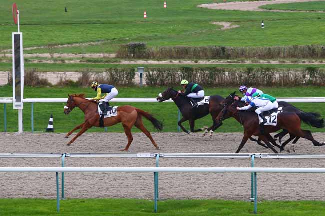 Photo d'arrivée de la course pmu PRIX DU PAYS DE BRAY à DEAUVILLE le Mercredi 25 novembre 2020