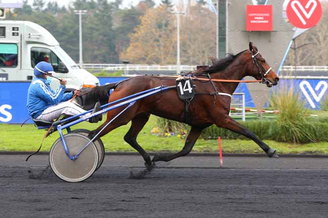 Photo d'arrivée de la course pmu PRIX DE BRETIGNY à PARIS-VINCENNES le Mercredi 25 novembre 2020