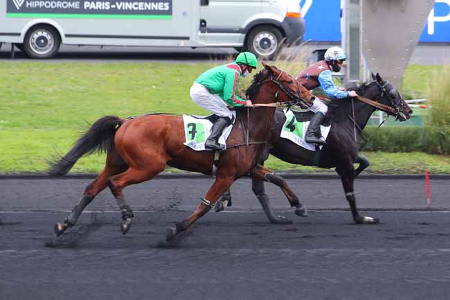 Photo d'arrivée de la course pmu PRIX DE MEYSSAC à PARIS-VINCENNES le Mercredi 25 novembre 2020