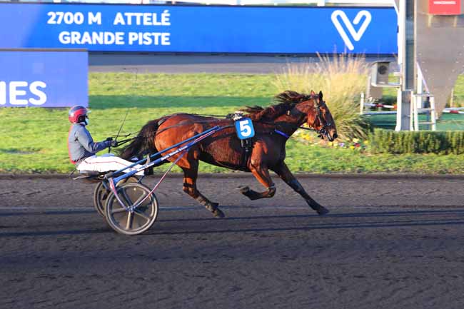 Photo d'arrivée de la course pmu PRIX DE BRESSUIRE à PARIS-VINCENNES le Mercredi 25 novembre 2020