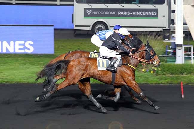 Photo d'arrivée de la course pmu PRIX KLIO à PARIS-VINCENNES le Vendredi 27 novembre 2020