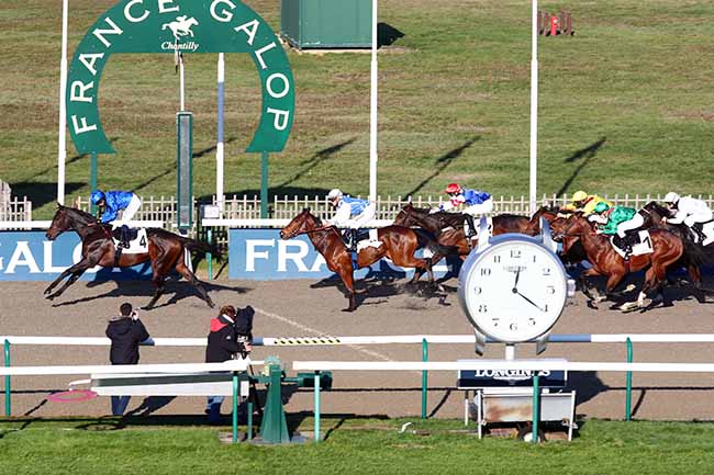 Photo d'arrivée de la course pmu PRIX DU ROND DU CHENE à CHANTILLY le Samedi 28 novembre 2020