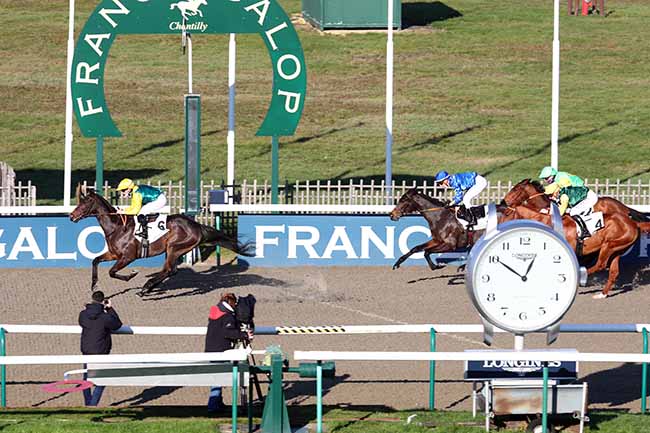 Photo d'arrivée de la course pmu PRIX DE LA MOTTE LOUVET à CHANTILLY le Samedi 28 novembre 2020