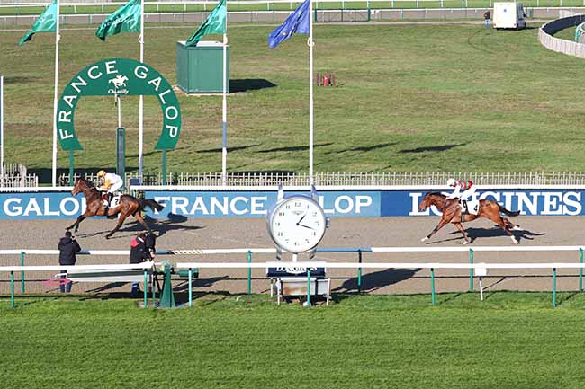 Photo d'arrivée de la course pmu PRIX DE FORMENTIN à CHANTILLY le Samedi 28 novembre 2020