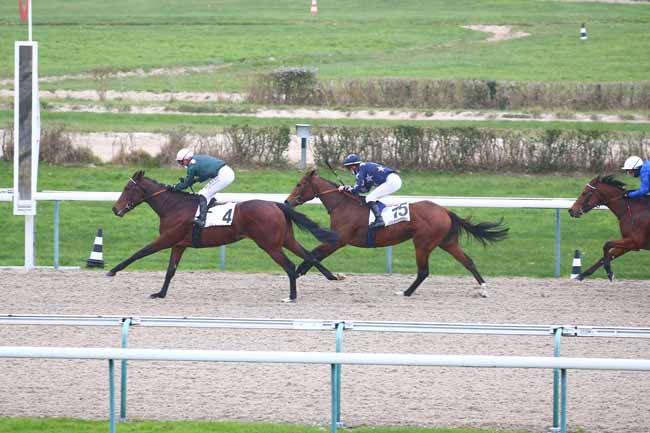 Photo d'arrivée de la course pmu PRIX DE FERGAND à DEAUVILLE le Lundi 30 novembre 2020
