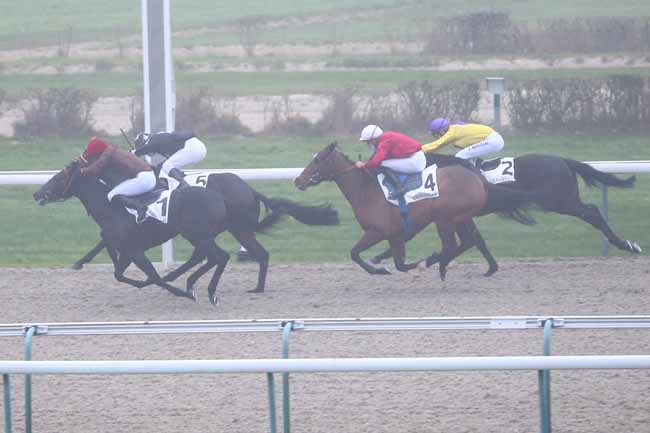 Photo d'arrivée de la course pmu PRIX GREY DAWN à DEAUVILLE le Lundi 30 novembre 2020