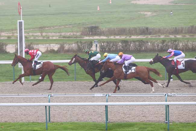 Photo d'arrivée de la course pmu PRIX DES VILLAS NORMANDES à DEAUVILLE le Lundi 30 novembre 2020